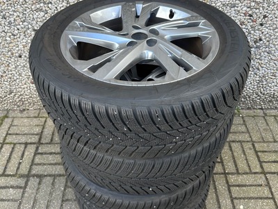 VW_TaigoRWit_31.jpg