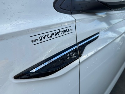 VW_TaigoRWit_04.jpg