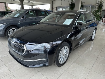 SkodaOct25_03.jpg