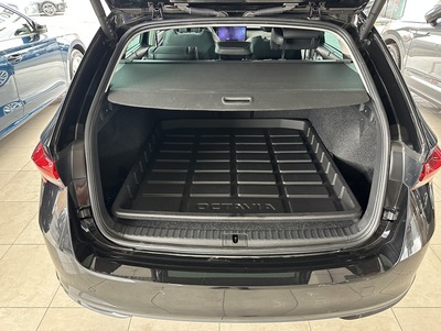 SkodaOct25_27.jpg