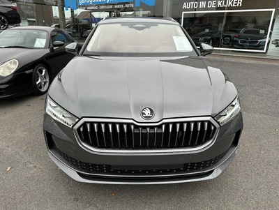 Superb_02.jpg