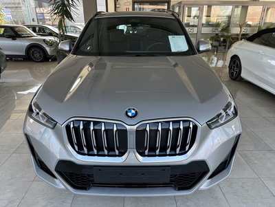 BMW_X1_02.jpg