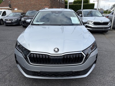 SkodaOctZil_02.jpg