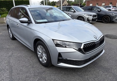 SkodaOctZil_01.jpg