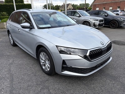 SkodaOctZil_01.jpg