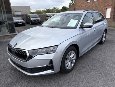 SkodaOctZil_03.jpg