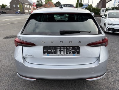SkodaOctZil_24.jpg