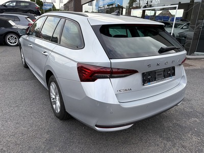 SkodaOctZil_23.jpg