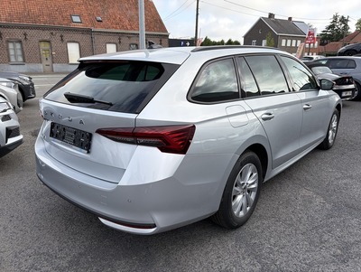 SkodaOctZil_27.jpg