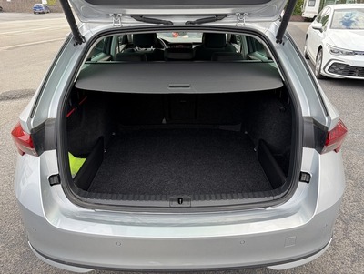 SkodaOctZil_25.jpg