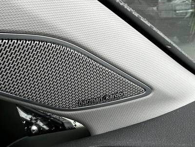 Golf8Active_14.jpg
